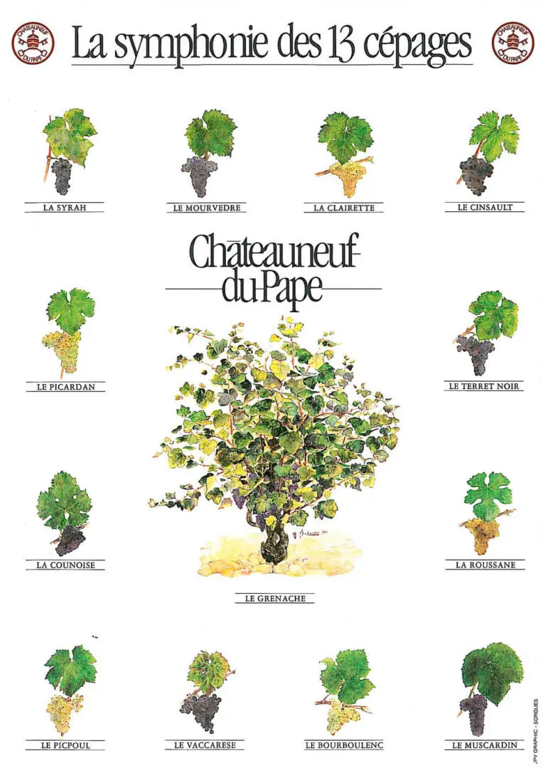 Les 13 Cépages de Châteauneuf-du-Pape : Découvrez l’Art du Terroir Maison Molinet