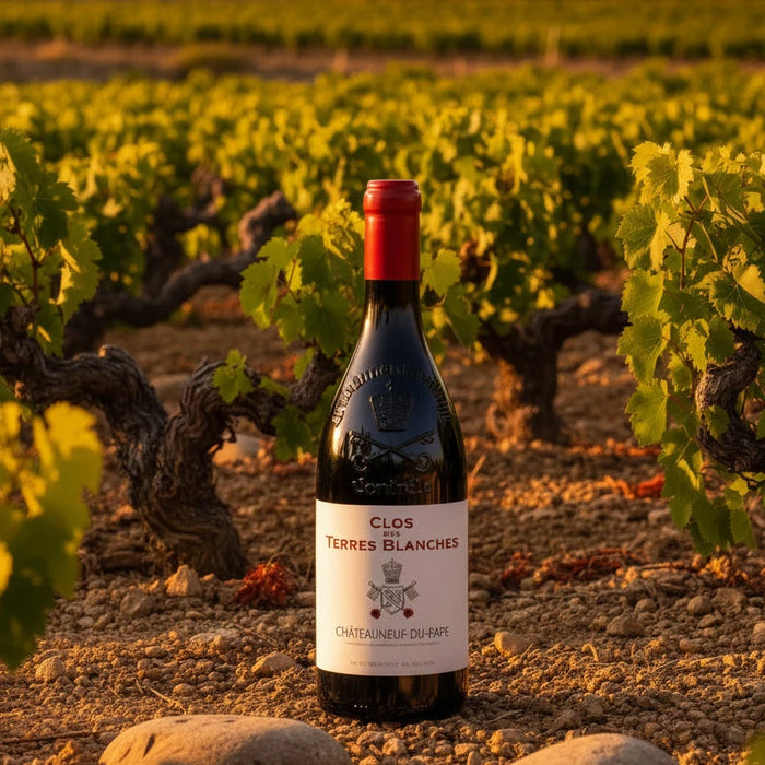 Clos des Terres Blanches – Châteauneuf-du-Pape Rouge 2024 Maison Molinet