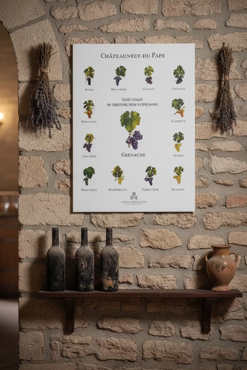 Affiche 13 cépages de Châteauneuf-du-Pape by Maison Molinet, showcasing grape varieties in an artistic design.