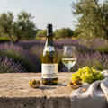 Esprit Côtes-du-Rhône Blanc 2024 – Maison Brotte Maison Molinet